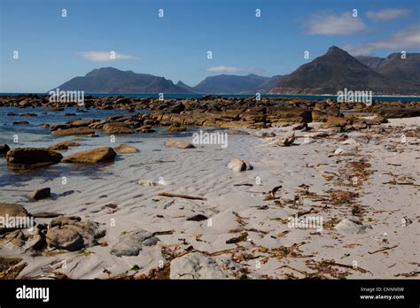 Kommetjie beach, Kommetjie, Western Cape, South Africa Stock Photo - Alamy