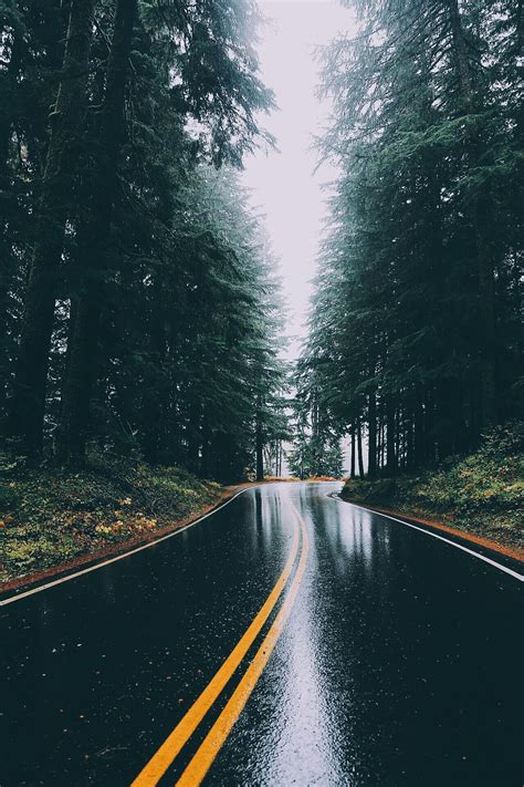 Rainy afternoon day. Landscapes photo by nickverbelchuk http://rarme.com/?F9gZi | Landscape ...