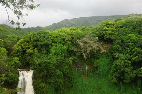 Hawaii Maui Waterfall - Free photo on Pixabay - Pixabay