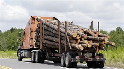 Streamlining Forestry Logistics: Log Truck Routing