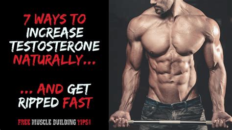 Increase Testosterone Levels Naturally and Get Ripped Fast