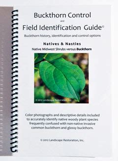 Buckthorn Control and Field Identification Guide | Landscape Shopping Cart