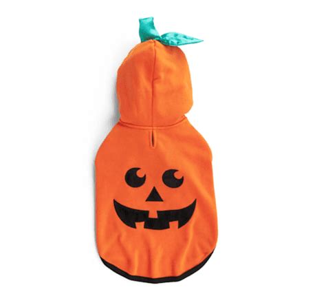 Shop Petco's Best Halloween Costumes For Dogs and Cats 2023 | PS Pets