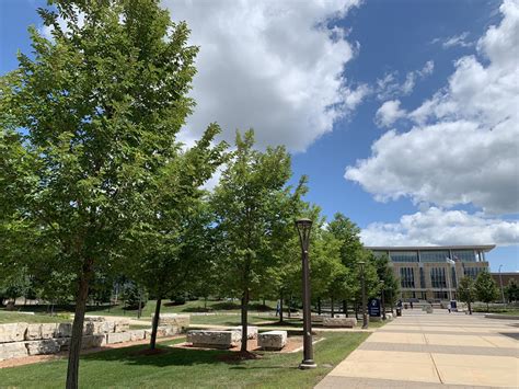 Madison College on Twitter: "Outdoor study spots are open for business 🌤…