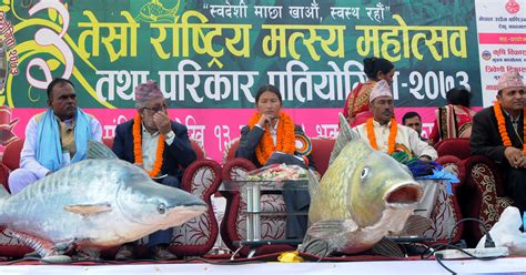 National Fish Festival organised at Bhrikutimandap (Photo feature)