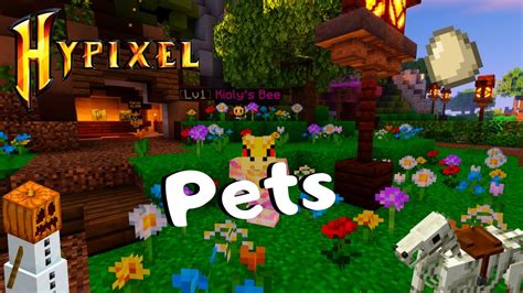 Hypixel: Skyblock- *NEW* Pets and How to craft them!! - YouTube