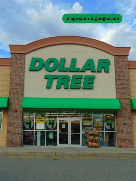 8 Dollar Tree Organization Hacks That Just Make Sense - StatAnalytica