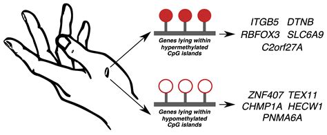 IJMS | Free Full-Text | Genome-Wide CpG Island Methylation Profiles of Cutaneous Skin with and ...