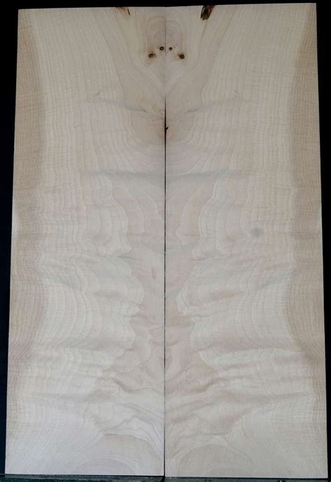 Maple Tonewood, Maple guitar top - Electric guitar wood