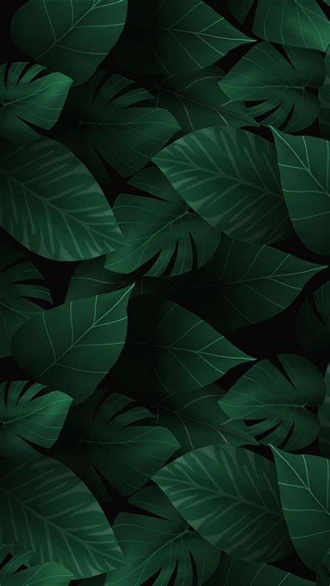 237 Wallpaper Hd Dark Green Images & Pictures - MyWeb