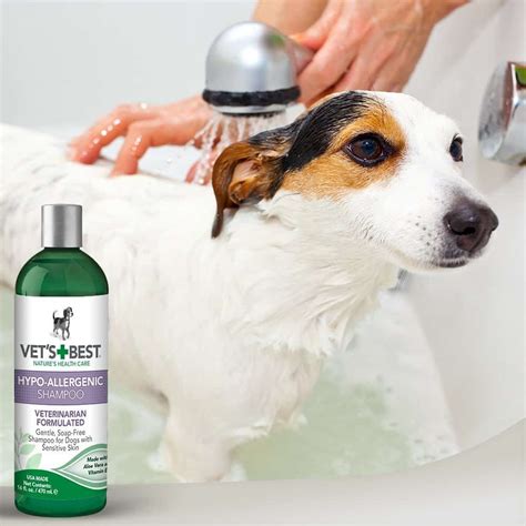 9 Best Dog Shampoo For Allergy Sufferers 2024 - PetCosset