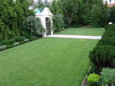 Zoysia Turf Grass Lawn 5 – Lawn Block Turf Drive Thru