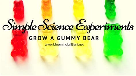 Simple Science Experiments for Kids S1 E2 Growing a Gummy Bear - YouTube