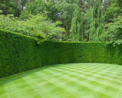 Lawn mowing patterns: 6 designs plus tips on how to do it | Gardeningetc