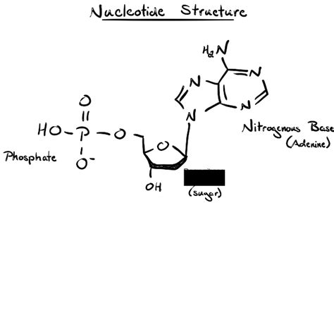 Dna Molecule Makeup | Makeupview.co