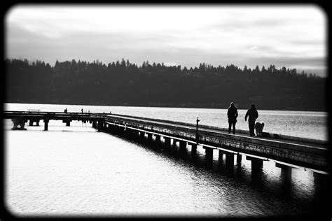 log boom pier--lake washington | rich wich | Flickr