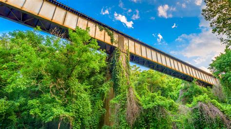 Train trestle passes through a rural area in Athens, Georgia, USA | Windows Spotlight Images