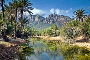 Nature of Yemen - National Parks and Reserves for Active Recreation