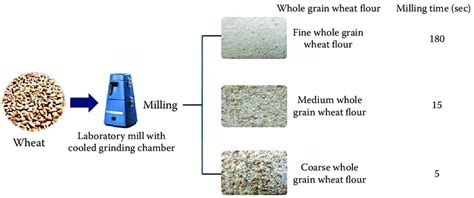 Representation of the milling process and production of whole grain ...