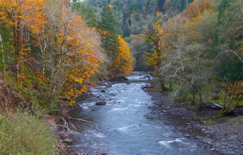 Oregon Fall Foliage (@ORFallFoliage) | Twitter