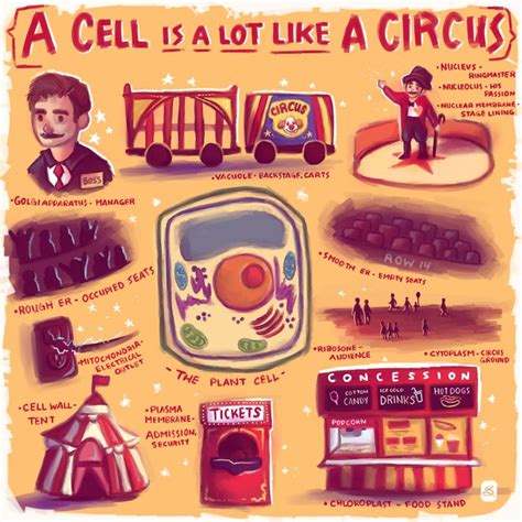 cell city school project ideas - Google Search | Cell analogy, Cells ...