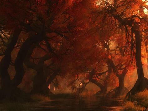 Spooky Autumn Forest | Scenery, Autumn forest, Nature tree