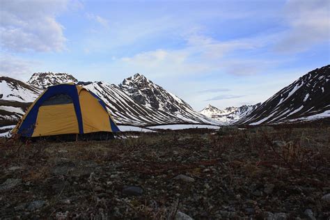 Alaska camping off the Denali Highway : r/CampingandHiking