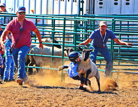 Chestermere’s Annual Country Fair another great success for 2019 - The Chestermere Anchor