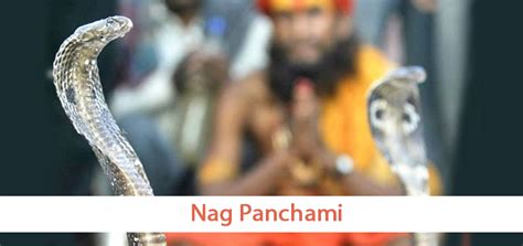 Nag Panchami Puja Mantra, Vidhi, Procedure - Download PDF