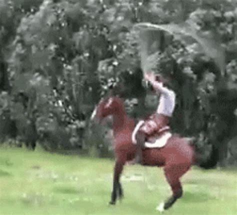 GIF de Horse Back Riding | Tenor