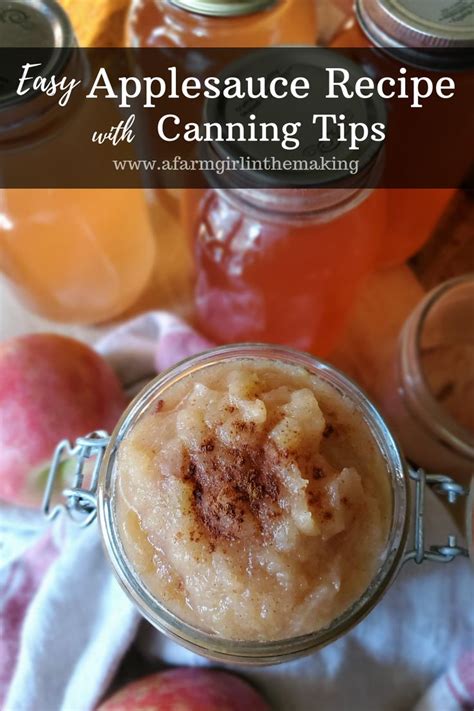 Easy Applesauce Recipe with Canning Tips | Recipe | Apple sauce recipes, Canned applesauce ...