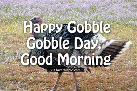 Happy Gobble Gobble Day, Good Morning Pictures, Photos, and Images for Facebook, Tumblr ...