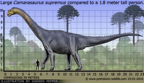 Camarasaurus | Prehistoric Life Wiki | FANDOM powered by Wikia