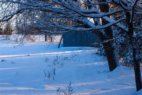 Snowy Backyard