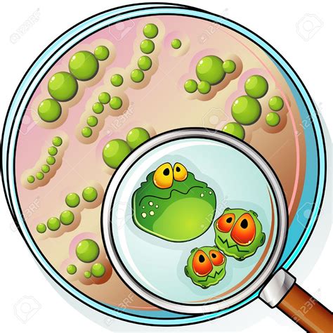 Bacteria Clipart Free | Free download on ClipArtMag