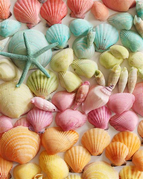 Dyed Seashells | Martha Stewart