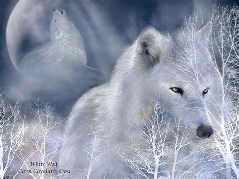 White Spirit Wolf Wallpapers - Top Free White Spirit Wolf Backgrounds - WallpaperAccess