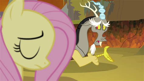 Image - Discord apologizes to Fluttershy S4E26.png - My Little Pony Friendship is Magic Wiki