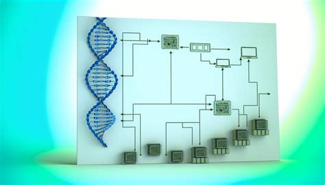 Implementing Machine Learning Through Genetic Algorithms: A Guide ...