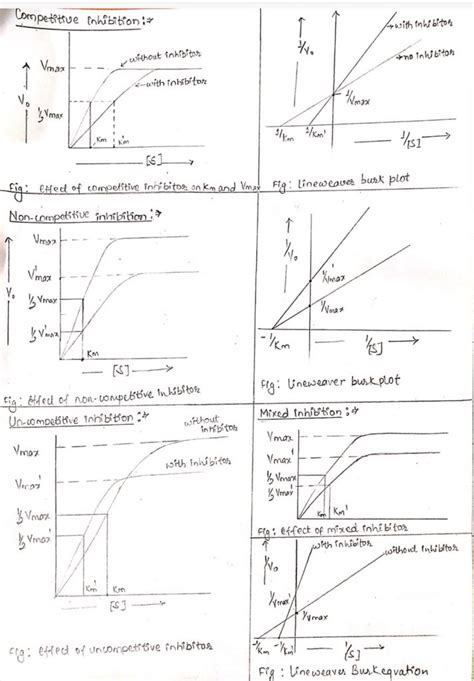 Enzyme inhibition and types of enzyme inhibitors - Online Biology Notes