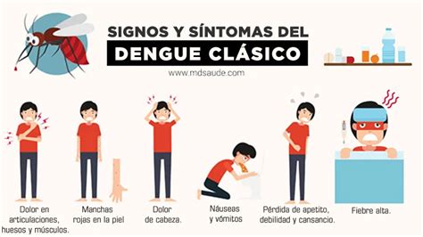 21 síntomas del dengue (clásico y hemorrágico) | MD.Saúde