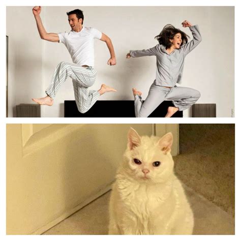 Create meme "cat , an energetic person, a cheerful person in the morning" - Pictures - Meme ...