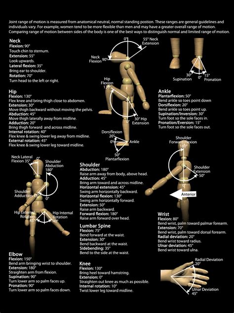 Joint Range of Motion degree chart - Real Bodywork