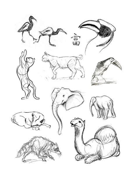 How To Draw Animals Step By Step With Pencil - Learn how to draw beautiful animals and pets from ...