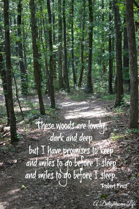 Quotes About The Woods. QuotesGram