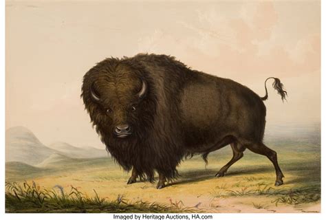 George Catlin Paintings for Sale | Value Guide | Heritage Auctions