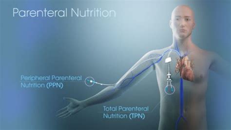 TPN - Scientific Animations