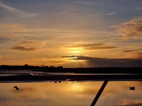 Wildfowling | Anglesey Wildfowling Club | Wales