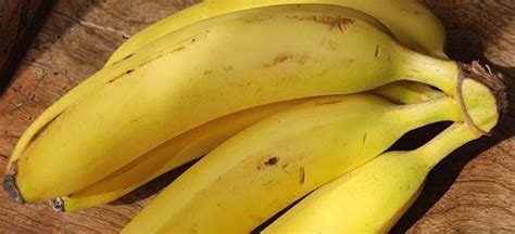 Fairtrade International / Products / Bananas | Fair trade food, Whole ...