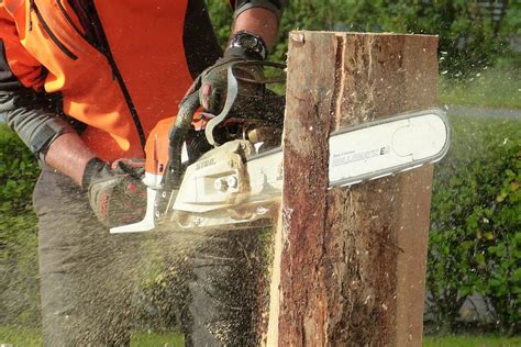 8 Best Gas Chainsaws For Any Budget - WoodyManReviews